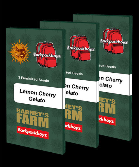Lemon Cherry Gelato (5pk) image 2