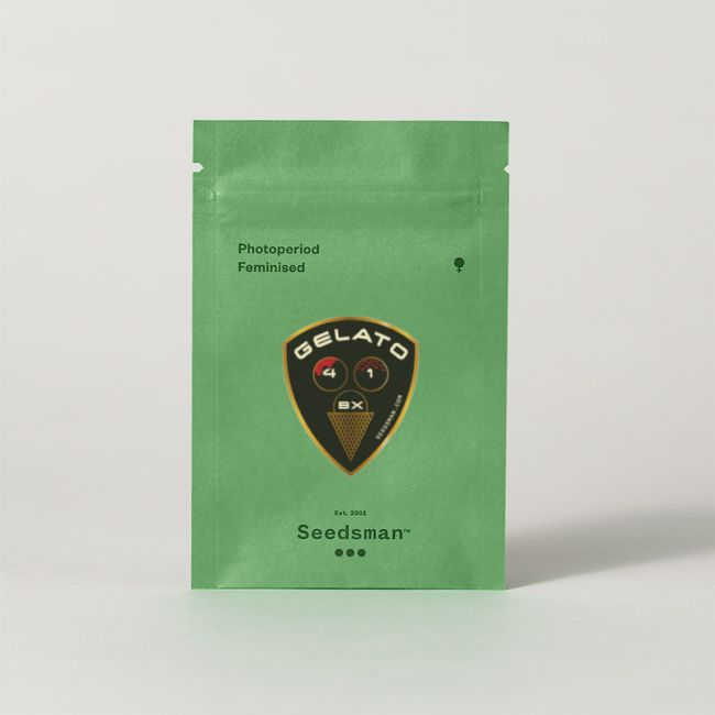 Gelato 41 BX Feminised Seeds (3pk) image 1