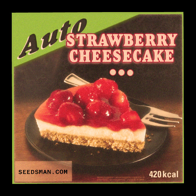 Strawberry Cheesecake Auto Feminised Seeds (3pk) image 1