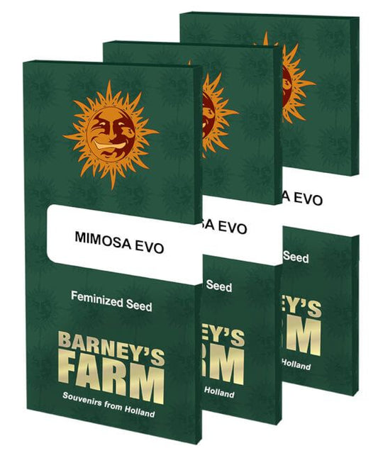 Mimosa Evo (3pk) image 1