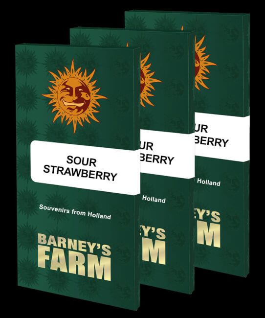 Sour Strawberry (3pk) image 1
