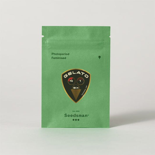 Gelato 41 BX Feminised Seeds (3pk) image 1