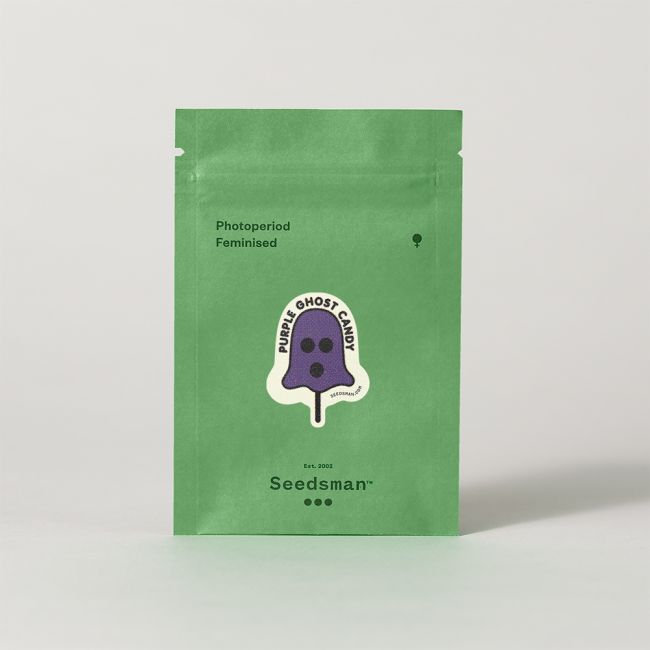 Purple Ghost Candy Feminised Seeds (3pk) image 1